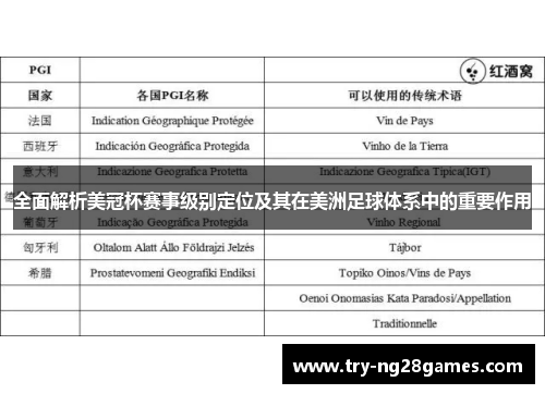 全面解析美冠杯赛事级别定位及其在美洲足球体系中的重要作用 全面解析美冠杯赛事级别定位及其在美洲足球体系中的重要作用